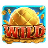 สัญลักษณ์ wild 