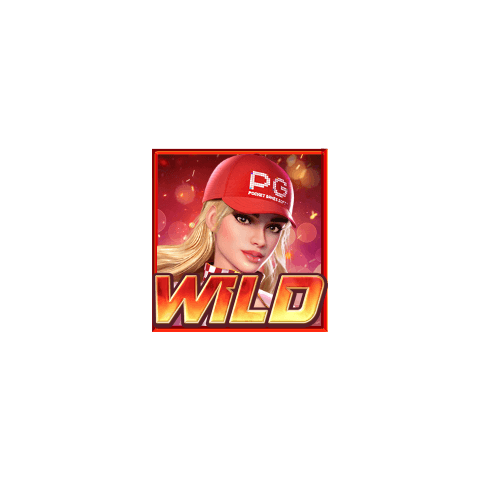 สัญลักษณ์ Wild